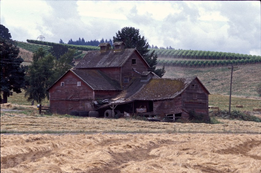 photo of Old Barn and Vineyard in Oregon