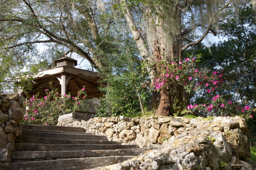 photo of steps leading to gazebo at Ravine gardens State Park, Palatka, Florida
