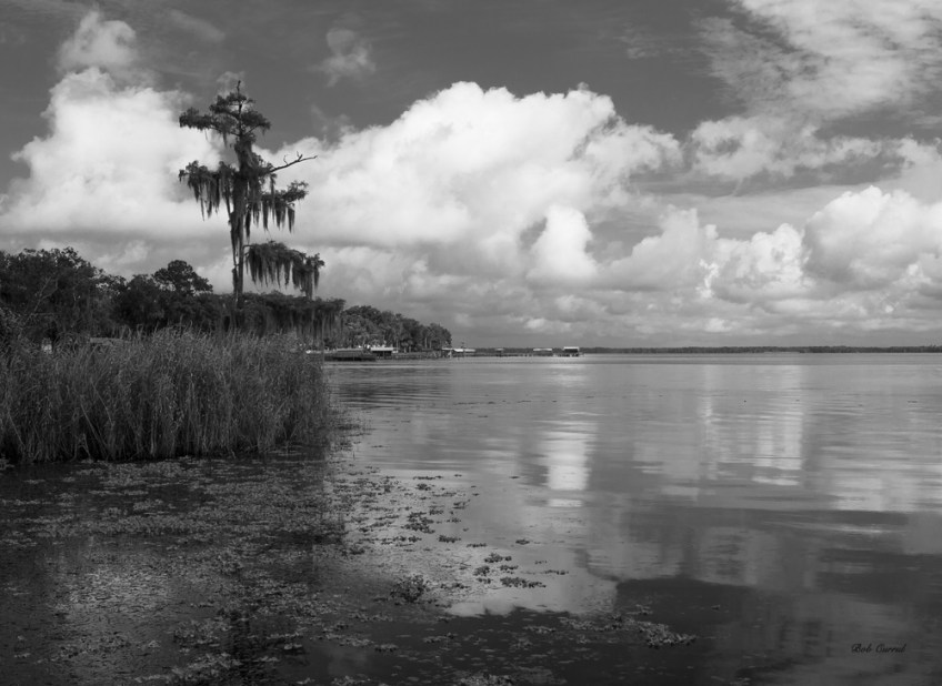 photo of Crescent lake shoreline Crescent City, Florida