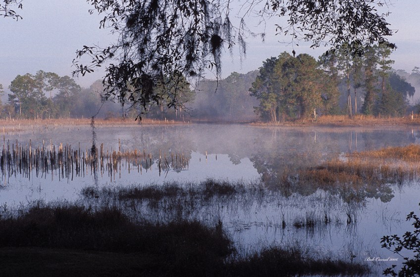 photo of Little Lake Como, FL in the early morning with mist on the lake