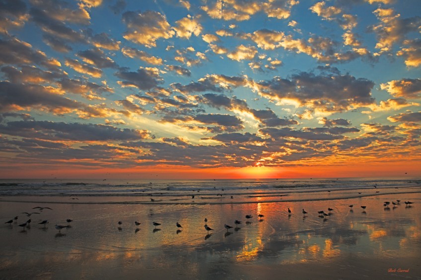 photo of Daytona Beach at sunrise