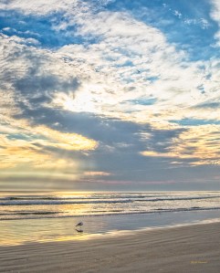 photo of Daytona Beach in morning light