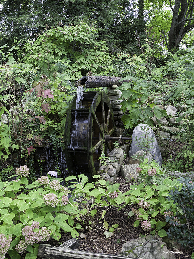 photo of Water wheel