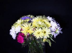 Photo of Flowers light painted with a Flashlight