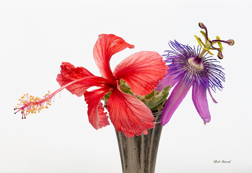 Photo of Hibiscus and Passion Flower in a Vase