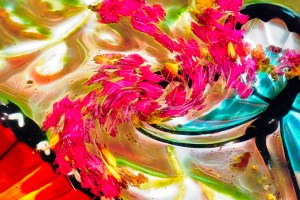 Abstract view of Crepe Myrtle petals floating in a Butterfly Birdbath.