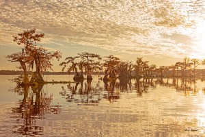 Photo of Lake Disston