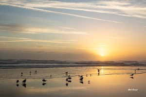 Photo of Ormond Beach Sunrise