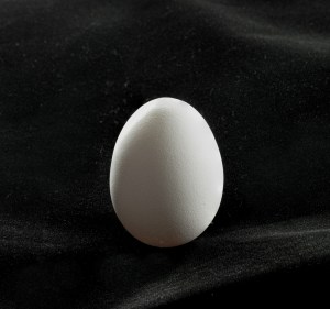 photo of egg