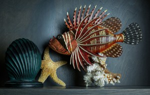photo of Lionfish still life